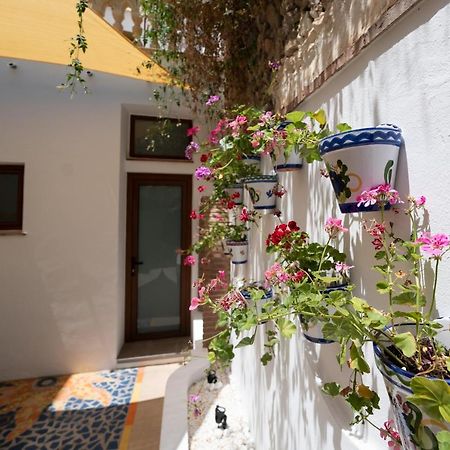 Apartamento Andalucia Cómpeta Εξωτερικό φωτογραφία